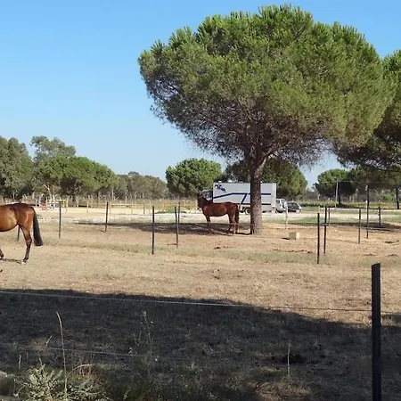 Holiday home Private Flat In Ostia Antica
